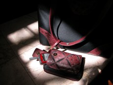 040309-bag.jpg - 9.4 K