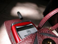 040309-cellularphone.jpg - 11.9 K