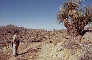 041100-joshuatreeNP2.jpg - 18.8 K