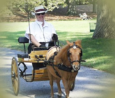 980927-ponny-riding.jpg - 34.2 K