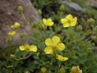 030917-mkinbai.jpg - 9.9 K