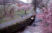 020413-branchbrook4.jpg - 9.8 K
