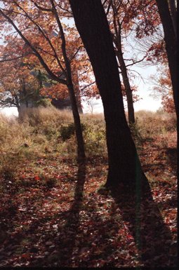 001028-bearmtn.jpg - 37.3 K