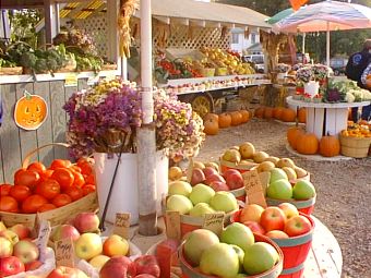 971018-farm-stand.jpg - 31.9 K